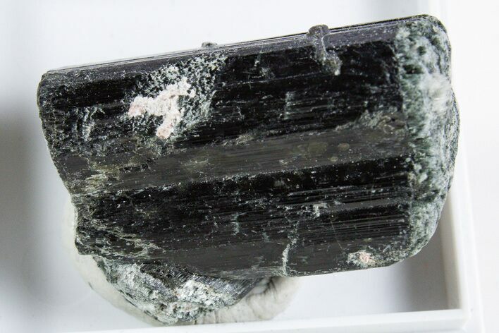 Black-Green Magnesio-Hastingsite Crystal - Norway #345861